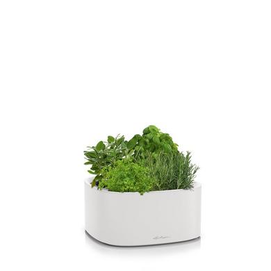 PILA Color Stick light grey